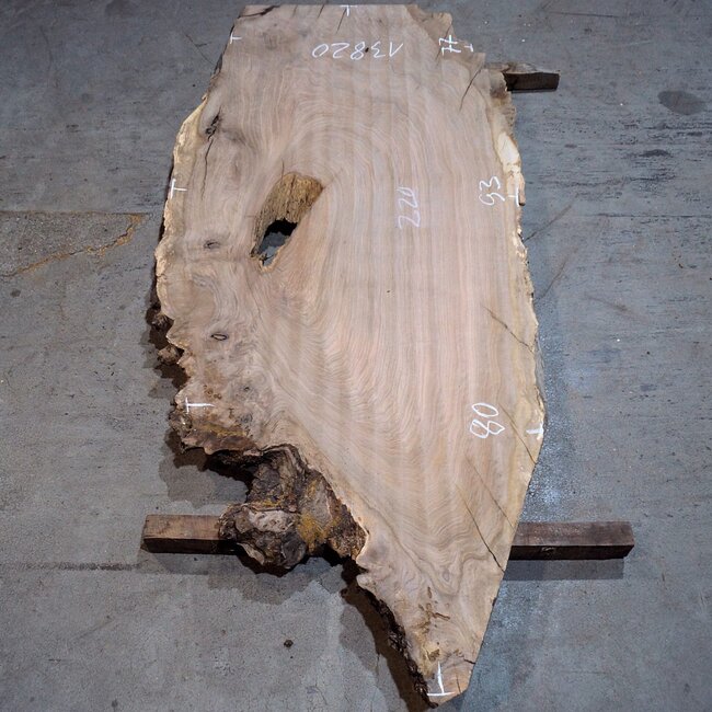 Kaukasischer Nussbaum, Tischplatte, ca. 2200 x 930 x 45 mm, 13820