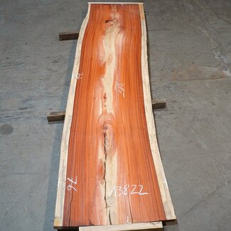 Padouk Bohle, ca. 3150 x 760 x 50 mm, 13822