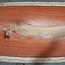 Padouk Bohle, ca. 3150 x 760 x 50 mm, 13822