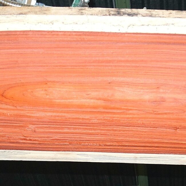 Padouk Bohle, ca. 3150 x 770 x 47-50 mm, 13825