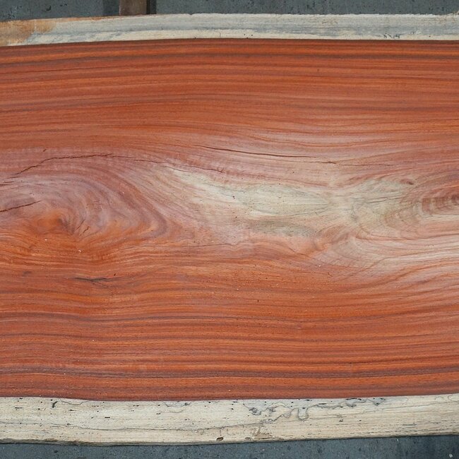 Padouk Bohle, ca. 3150 x 770 x 50 mm, 13826