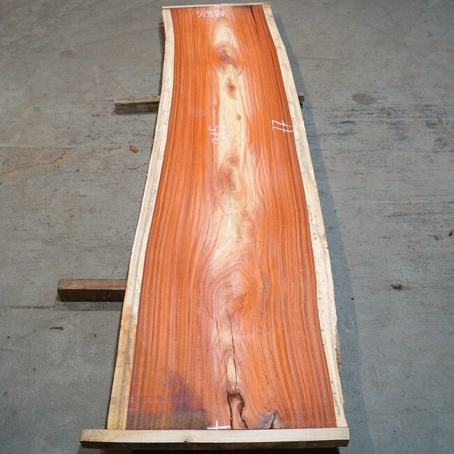 Padouk, approx. 3150 x 770 x 50 mm, 13826