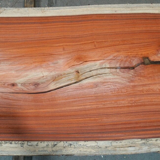 Padouk, approx. 3150 x 790 x 50 mm, 13827