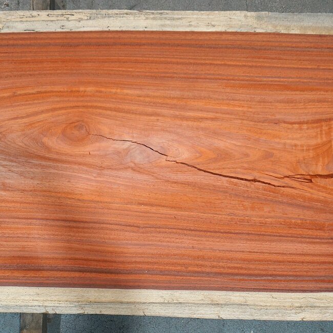 Padouk Bohle, ca. 3150 x 760 x 50 mm, 13829