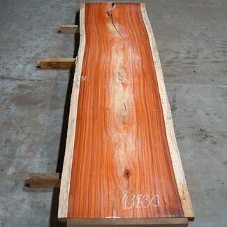 Padouk Bohle, ca. 3150 x 790 x 50 mm, 13830