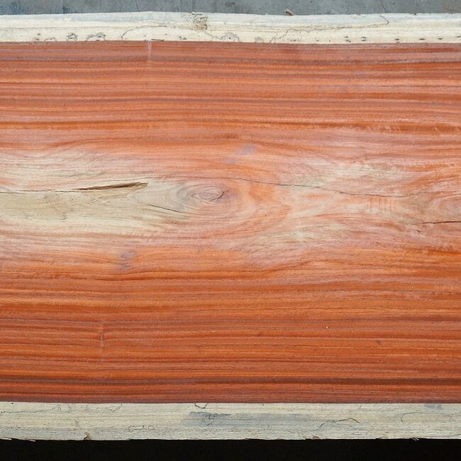 Padouk, approx. 3150 x 790 x 50 mm, 13830