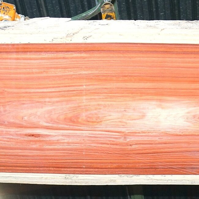 Padouk, approx. 3150 x 790 x 50 mm, 13830