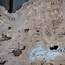 Caucasian Elm burl, approx. 1550 x 570 x 35 mm, 13831
