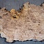 Kaukasische Rüster Maser, ca. 1550 x 570 x 35 mm, 13831