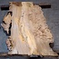 Caucasian Elm burl, approx. 1070 x 760 x 45 mm, 13832
