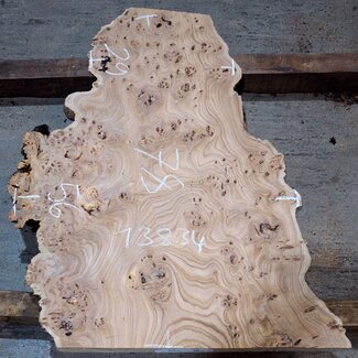 Kaukasische Rüster Maser, ca. 780 x 560 x 50 mm, 13834