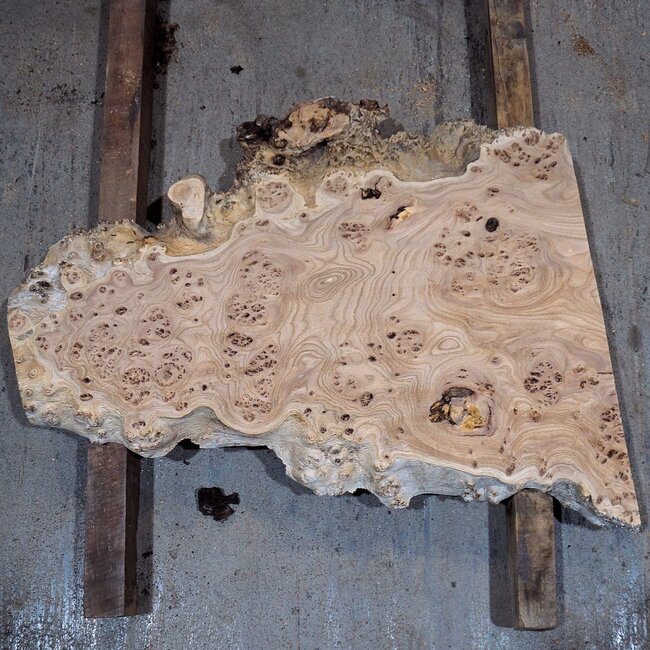Caucasian Elm burl, approx. 780 x 560 x 50 mm, 13834