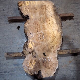 Kaukasische Rüster Maser, ca. 1100 x 440 x 45 mm, 13833
