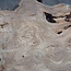 Kaukasische Rüster Maser, ca. 1450 x 630 x 35 mm, 13835