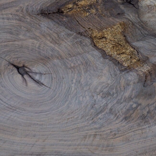 Caucasian Walnut burl, approx. 900 x 740 x 50 mm, 13836