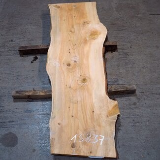 Lebanon Cedar, approx. 1800 x 490 x 45 mm, 13837