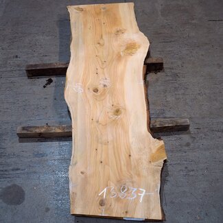 Libanon Zeder Bohle, ca. 1800 x 490 x 45 mm, 13837
