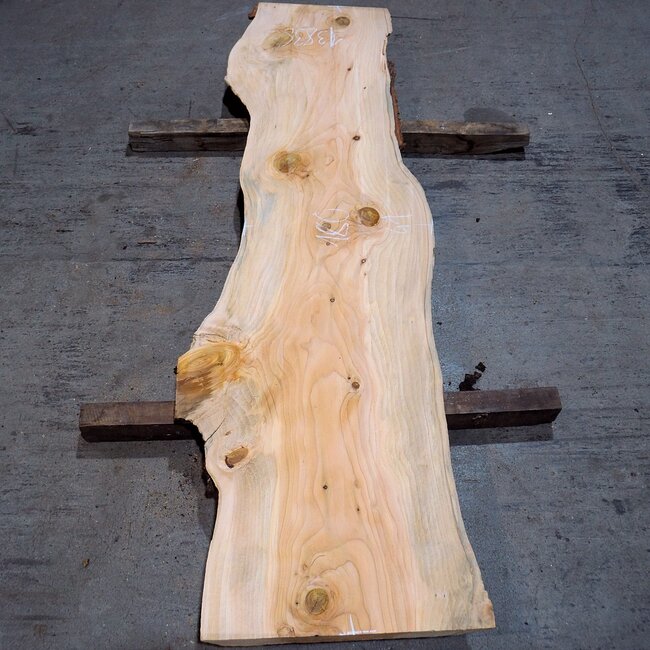 Lebanon Cedar, approx. 1800 x 410 x 40-45 mm, 13838