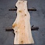 Lebanon Cedar, approx. 1800 x 410 x 40-45 mm, 13838