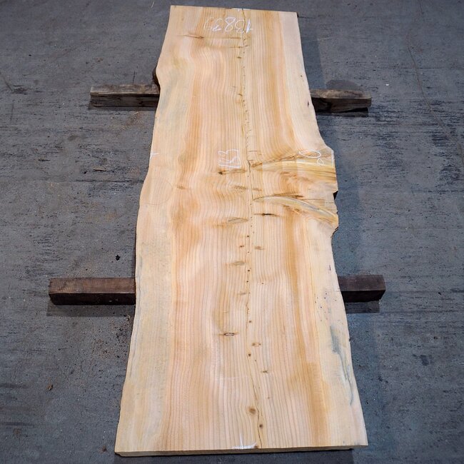 Libanon Zeder Bohle, ca. 1830 x 600 x 45 mm, 13839