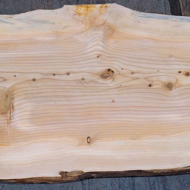 Lebanon Cedar, approx. 1830 x 600 x 45 mm, 13839