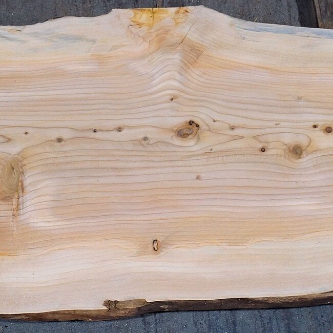 Libanon Zeder Bohle, ca. 1830 x 600 x 45 mm, 13839