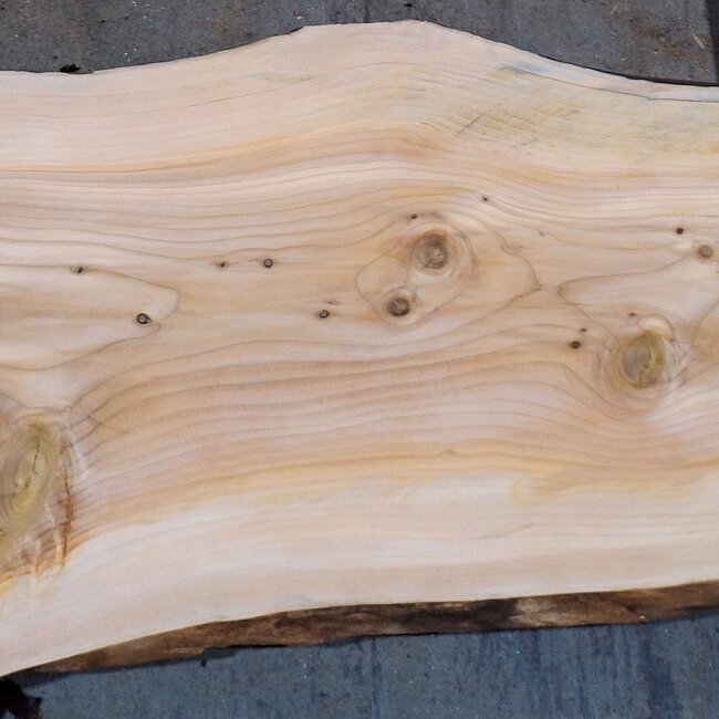 Libanon Zeder Bohle, ca. 1840 x 580 x 45 mm, 13840