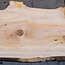 Libanon Zeder Bohle, ca. 1840 x 530 x 45 mm, 13841