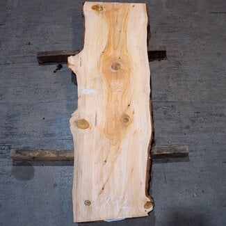 Libanon Zeder Bohle, ca. 1840 x 480 x 40 mm, 13842