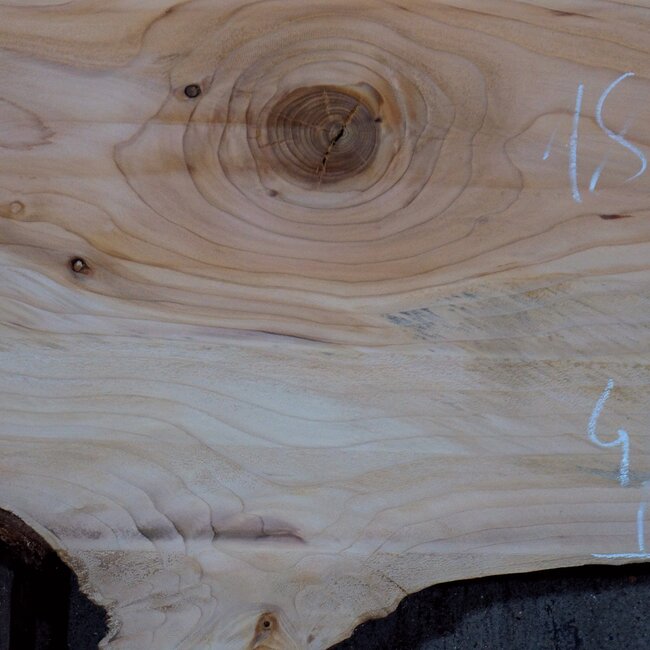 Lebanon Cedar, approx. 1840 x 480 x 40 mm, 13842