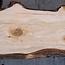 Libanon Zeder Bohle, ca. 1840 x 480 x 40 mm, 13842