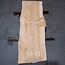 Libanon Zeder Bohle, ca. 1820 x 620 x 45 mm, 13843