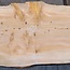 Lebanon Cedar, approx. 1820 x 620 x 45 mm, 13843