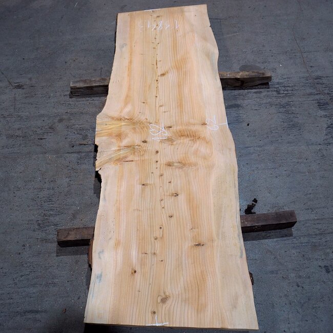 Libanon Zeder Bohle, ca. 1820 x 620 x 45 mm, 13843