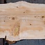 Libanon Zeder Bohle, ca. 1810 x 610 x 45 mm, 13844