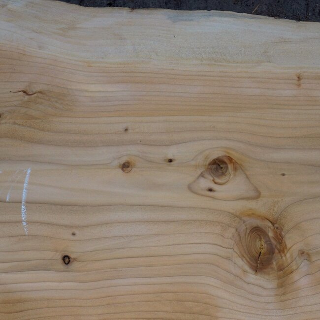 Lebanon Cedar, approx. 1810 x 610 x 45 mm, 13844