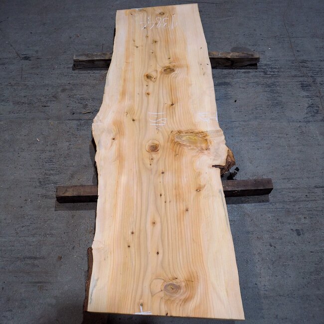 Lebanon Cedar, approx. 1810 x 610 x 45 mm, 13844