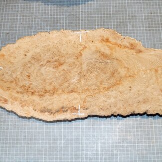 Ash burl, approx. 570 x 230 x 60mm, 3,9kg