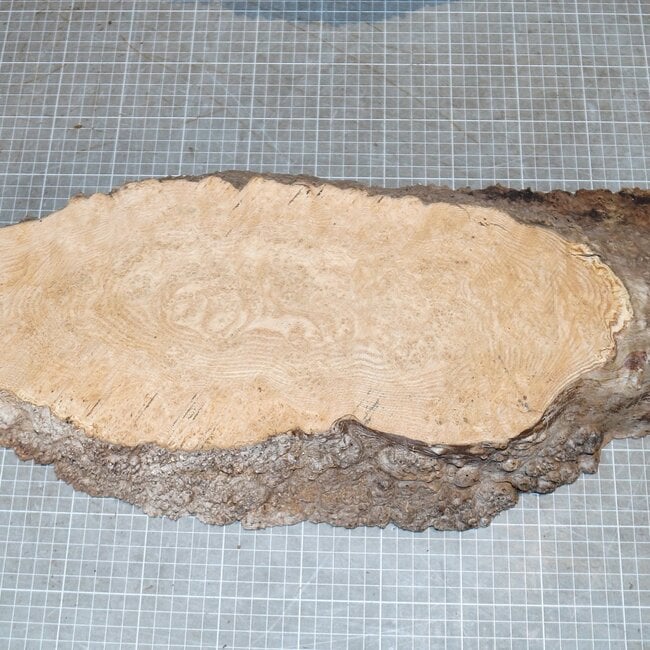 Ash burl, approx. 570 x 230 x 60mm, 3,9kg