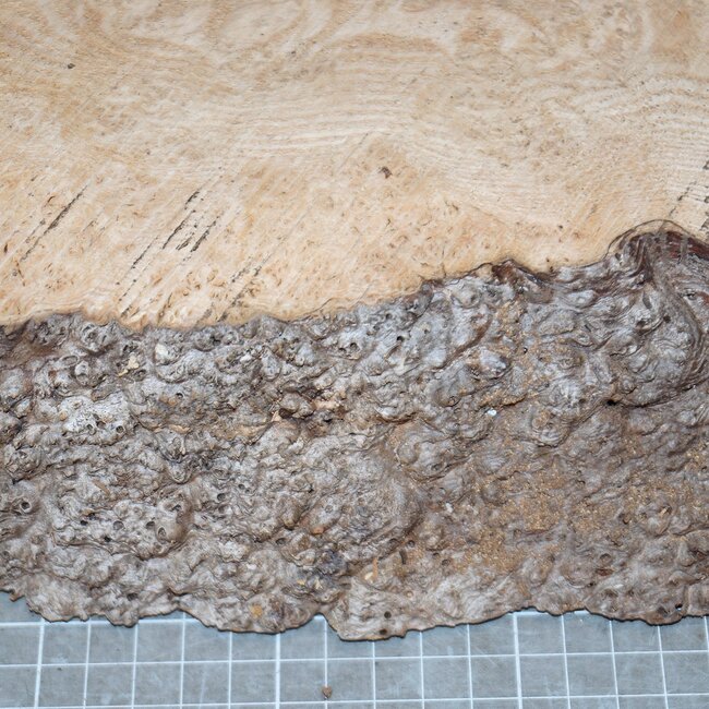 Ash burl, approx. 570 x 230 x 60mm, 3,9kg
