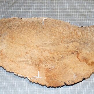Ash burl, approx. 570 x 280 x 62mm, 4,9kg