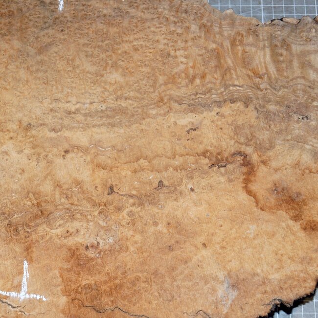 Esche Maser, ca. 570 x 280 x 62mm, 4,9kg
