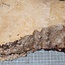 Ash burl, approx. 570 x 280 x 62mm, 4,9kg