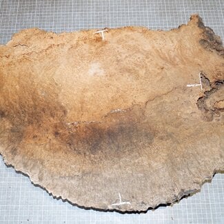 Esche Maser, ca. 530 x 400 x 62mm, 7,6kg