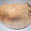 Ash burl, approx. 530 x 400 x 62mm, 7,6kg