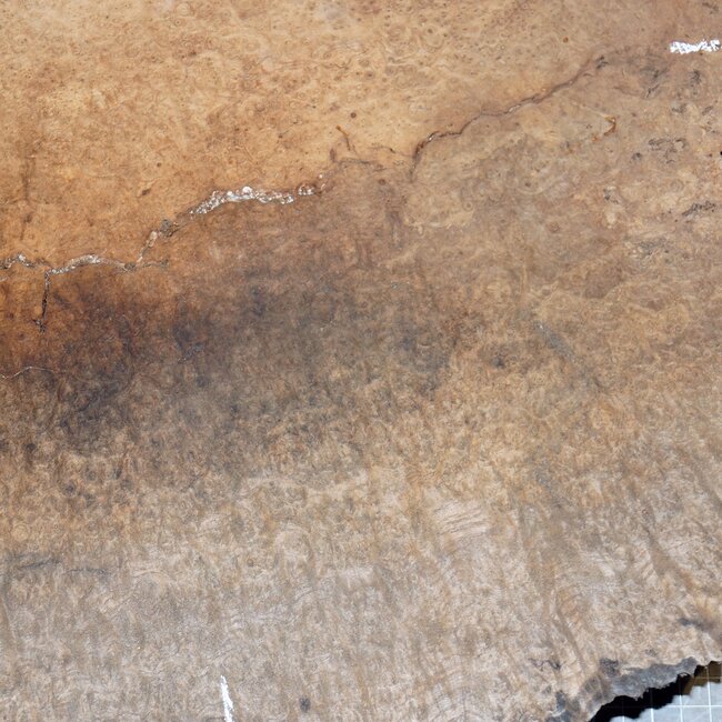Ash burl, approx. 530 x 400 x 62mm, 7,6kg