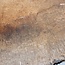 Ash burl, approx. 530 x 400 x 62mm, 7,6kg
