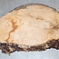 Ash burl, approx. 530 x 400 x 62mm, 7,6kg