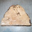 Esche Maser, ca. 410 x 330 x 52mm, 3,3kg