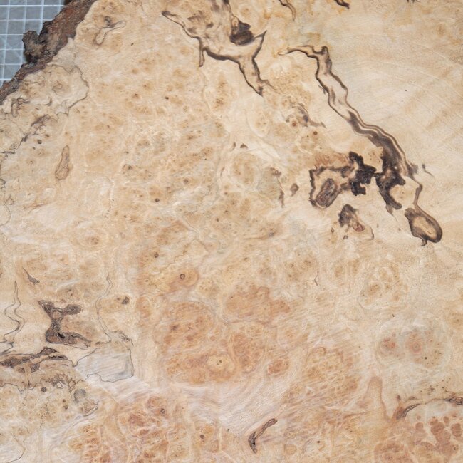 Esche Maser, ca. 410 x 330 x 52mm, 3,3kg